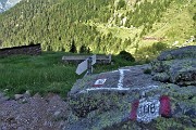 18 Scendo a sx sul sent. 107A per Val Pianella - Bocca di Trona